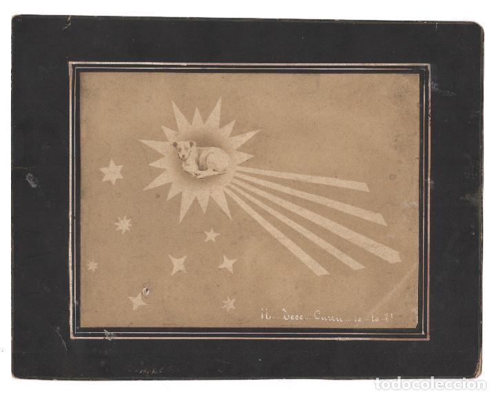 Antique Photography: fotomontaje con perro y estrella, 1890 aprox. tama&ntilde;o soporte: 21,5x28 cm.