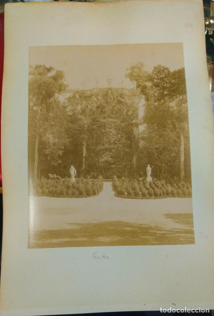 Fotograf&iacute;a antigua: 2 FOTOGRAF&Iacute;AS PORTUGAL. CINTRA JARDINES DEL PALACIO. FRANCESCO ROCCHINI
