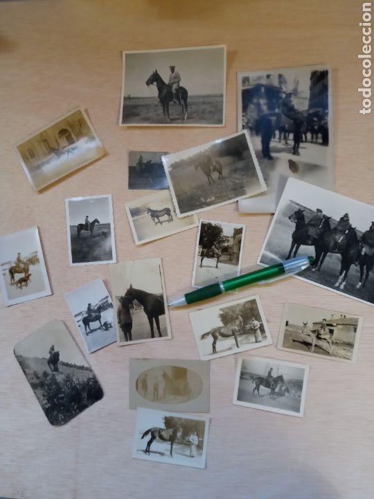 Antique Photography: Fotograf&iacute;as de Caballos. 50 fotografias