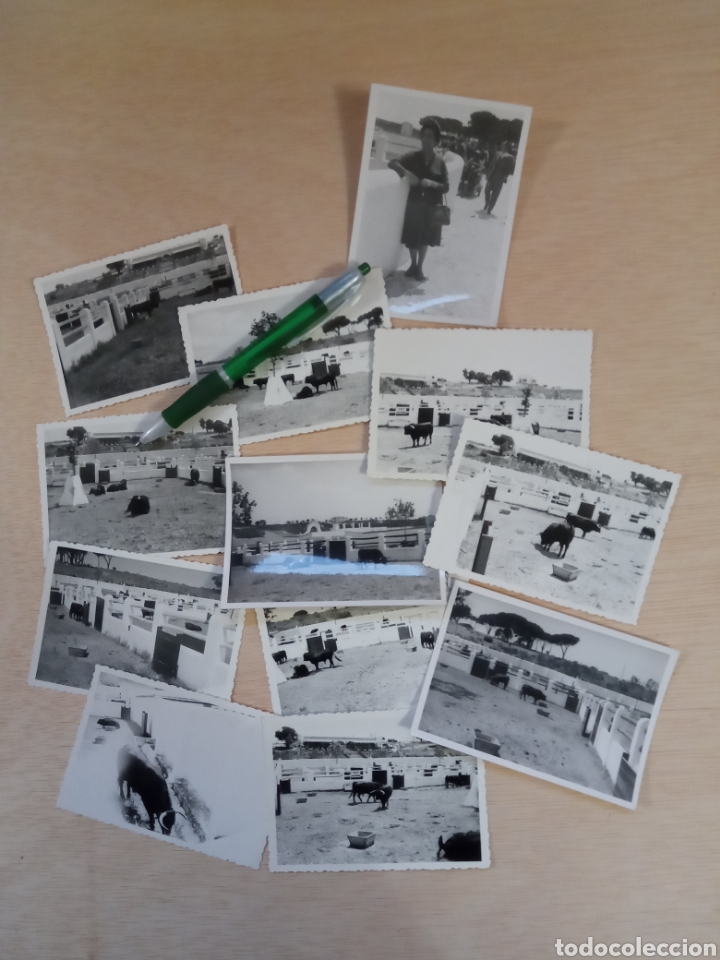 Antique Photography: Toros. El Bat&aacute;n.