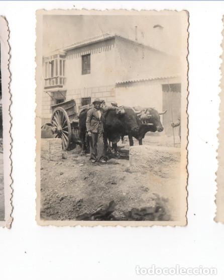 Fotograf&iacute;a antigua: CARRETEROS CON CARRO Y BUEYES, EPOCA GUERRA CIVIL, FOTOGRAFIA ANTIGUA