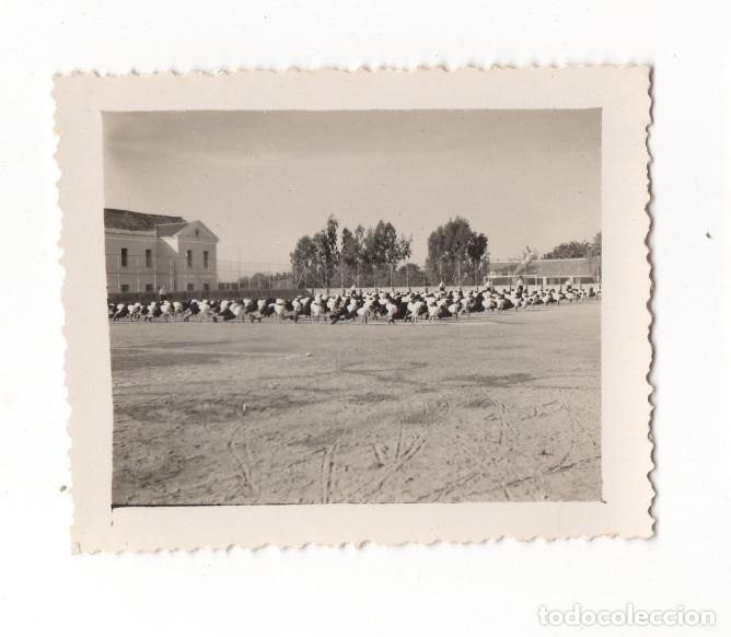 Fotograf&iacute;a antigua: CHICOS ENTRENAN TIPO MILITAR EN COLEGIO, FORMACION DEL ESPIRITU NACIONAL, MALAGA HACIA 1939, FOTO