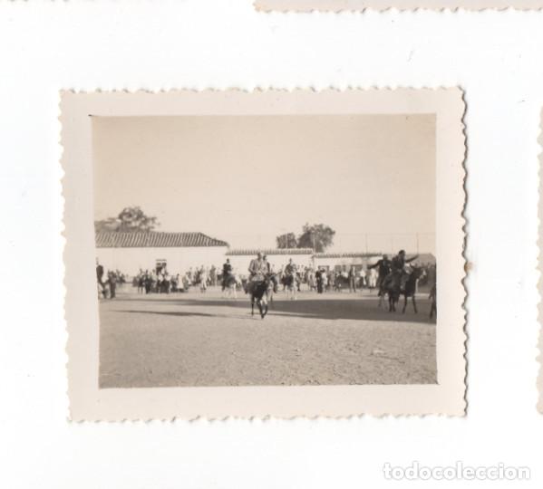 Fotograf&iacute;a antigua: FOTOGRAFIA ANTIGUA, CARRERA CON BURROS, MALAGA A&Ntilde;OS 30