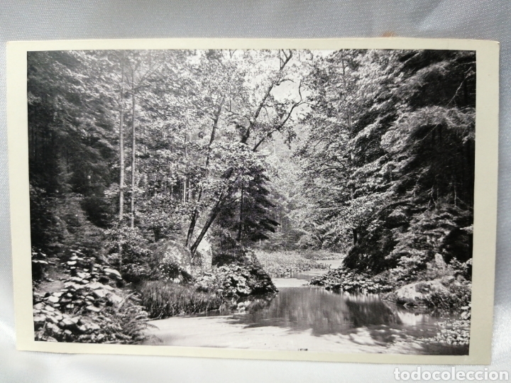 Fotografia antiga: Foto antigua. Paisaje