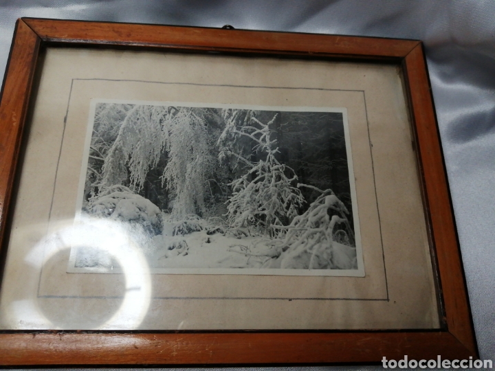 Fotografia antiga: Foto antigua. Paisaje invierno. Alemania