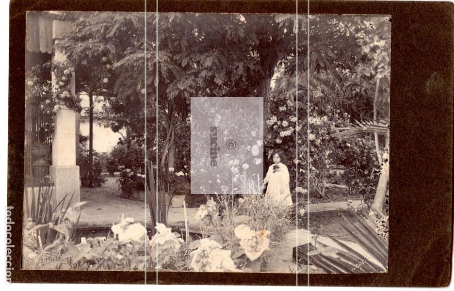 Antique Photography: FOTOGRAFIA DE SE&Ntilde;ORA Y NI&Ntilde;A EN UN JARDIN DEL FOTOGRAFO GERMAN COLON DE CASTELLON