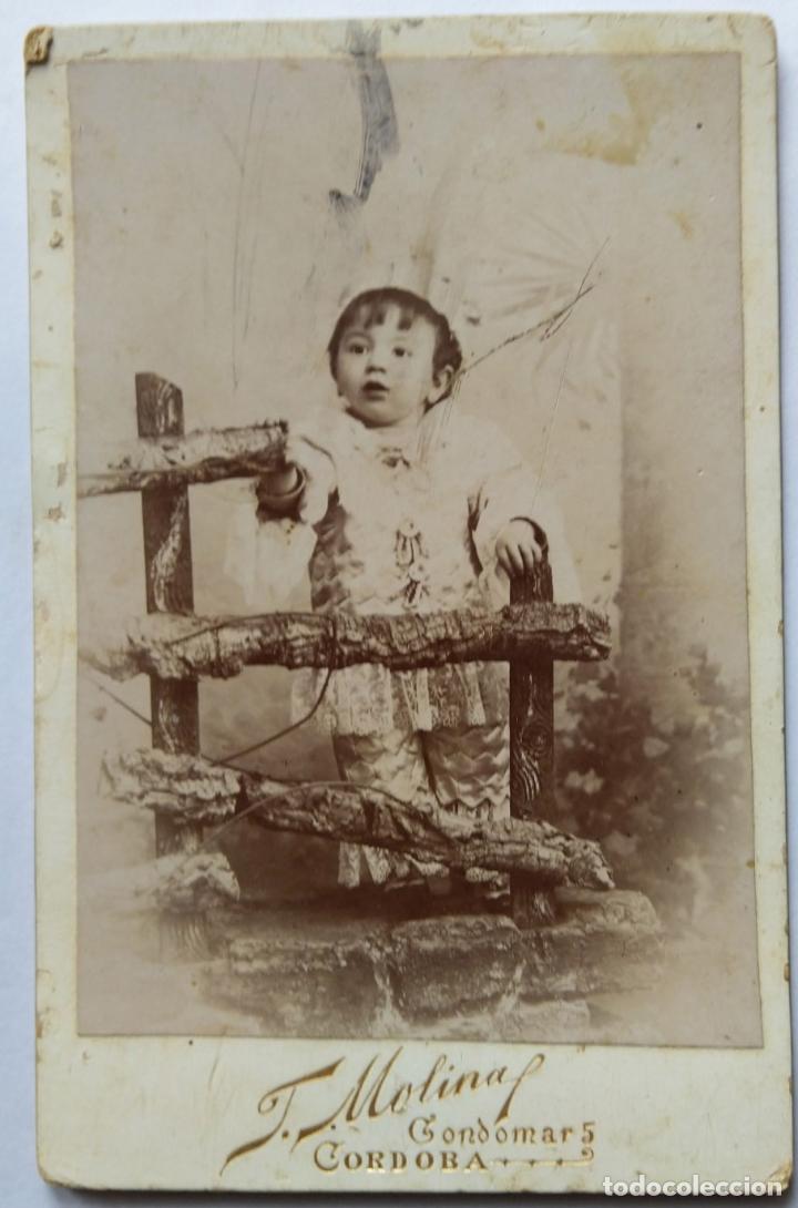 Antique Photography: CORDOBA FOTOGRAFO MOLINA LOTE DE 5 CARTON DURO 11 X 17 CM. MANCHAS Y ESTROPEADAS