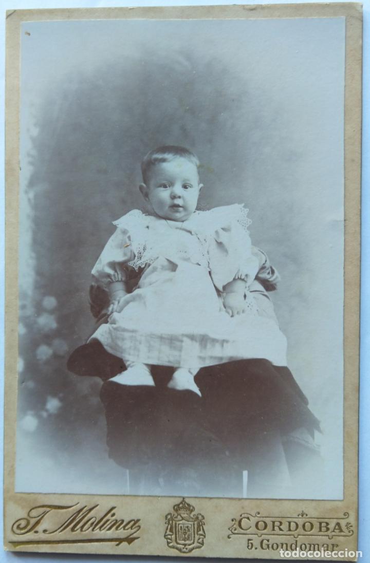 Antique Photography: CORDOBA FOTOGRAFO F MOLINA CARTON DURO 10 X 16 CM.