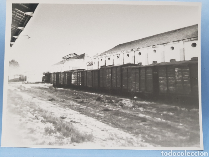 Fotografia antiga: Fotografia de la Estacion de Renfe en Villena