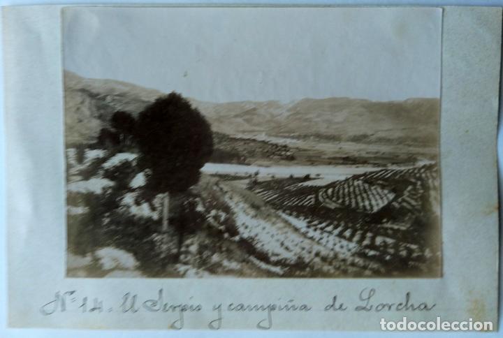 Antique Photography: LORCHA EL SERPIS Y CAMPI&Ntilde;A DE LORCHA TAMA&Ntilde;O 8 X 11 CM.
