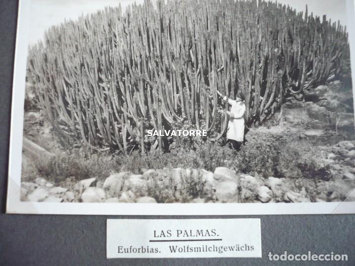 Antique Photography: BUQUE ALEMAN E.M.S. NORDDEUTSCHEN LLOYD. VIAJE A TENERIFE Y LAS PALMAS.CANARIAS.1937.141 FOTOGRAFIAS