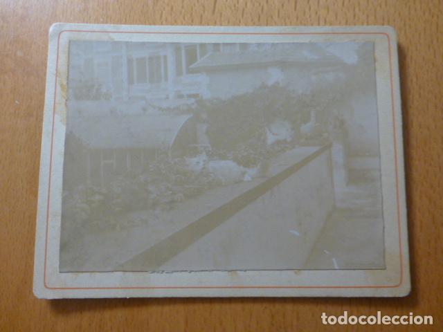 Fotografia antica: GATO EN JARDIN ALBUMINA MONTADA SOBRE CARTON SIGLO XIX 9,5 X 12,5 CMTS