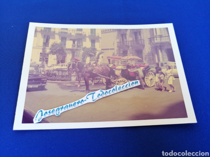 Antique Photography: HOTEL CATALU&Ntilde;A - CARRUAJE CON CABALLO