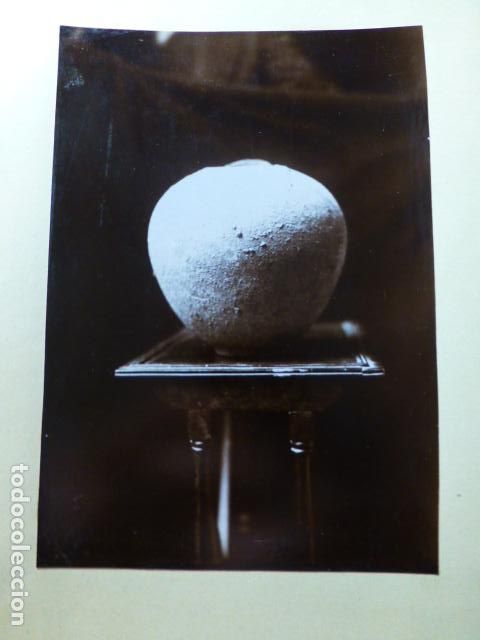 Fotografia antica: CARMONA SERVILLA PIEZA DE CER&Aacute;MICA ROMANA ALBUMINA SOBRE CART&Oacute;N 16 X 23 CTMS