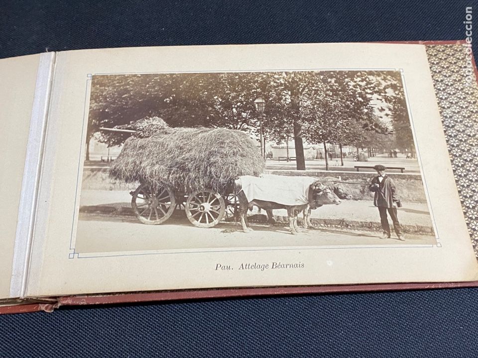 Antique Photography: ALBUM CON 10 ALB&Uacute;MINAS DE PAU, PIRINEOS. BUEN ESTADO. CIRCA 1880.