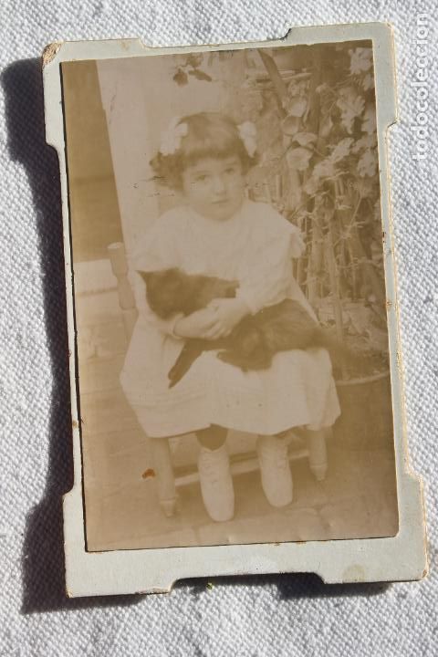 Fotografia antica: FOTOGRAFIA NI&Ntilde;A SENTADA CON GATO