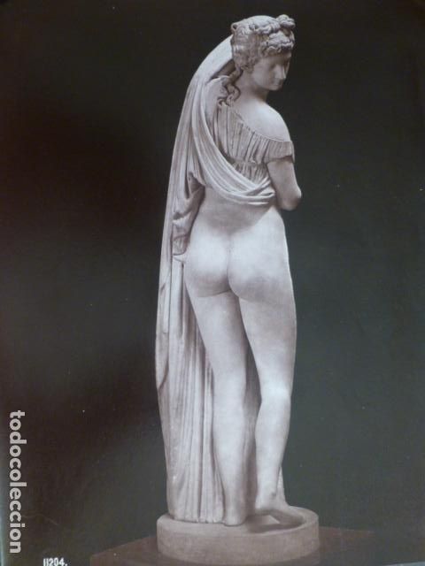 Fotografia antiga: ESCULTURA CL&Aacute;SICA TIPO VENUS ANTIGUA ALB&Uacute;MINA SIGLO XIX 25 X 19 CTMS