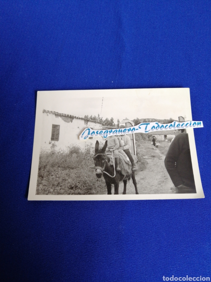 Alte Fotografie: NI&Ntilde;OS EN BURRO FOTOGRAFIA a&ntilde;o 1965