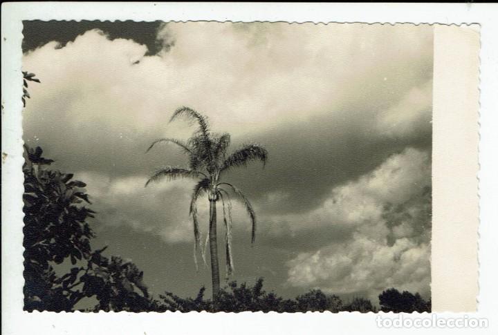 Antique Photography: FOTO DE SANTANDRIA. CIUTADELLA DE MENORCA. (1)