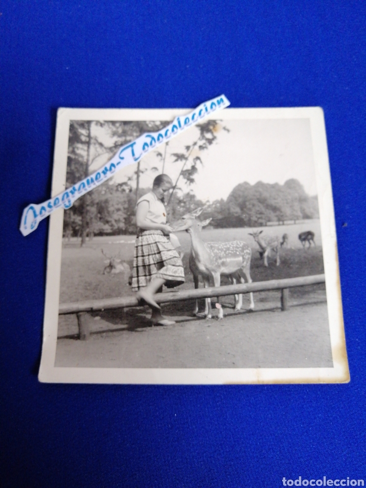 Antique Photography: BAMBY CON MODELO FOTOGRAFIA a&ntilde;o 1959