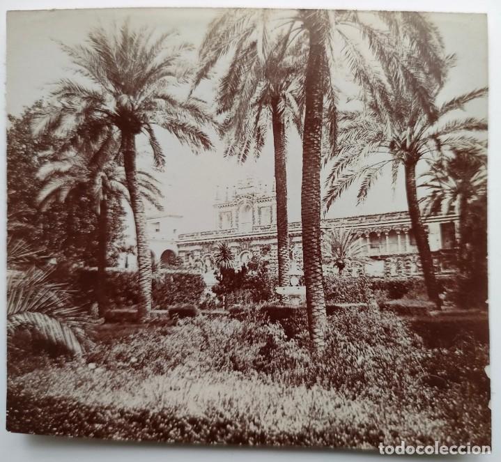 Fotografia antica: SEVILLA JARDINES DEL ALCAZAR LOTE DE 2 FOTOGRAFIAS TAMA&Ntilde;O 7.4 X 8 cm