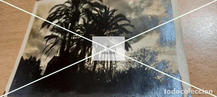 Antique Photography: FOTOGRAFIA ORIGINAL CASTELLON EN EL RECUERDO EL PALMERAL BENICASSIM EN 1915