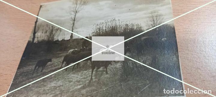 Antique Photography: FOTOGRAFIA ORIGINAL CASTELLON EN EL RECUERDO PASTOR Y REBA&Ntilde;O EN 1915