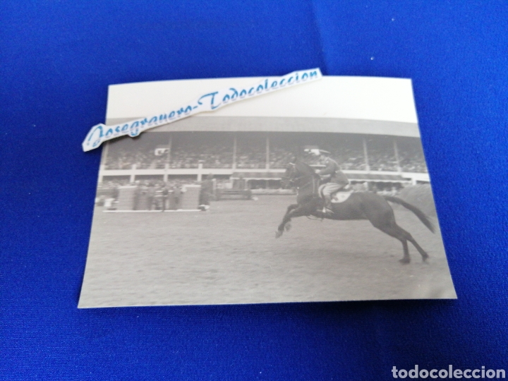 Antique Photography: H&Iacute;PICA CABALLOS FOTOGRAFIA ANTIGUA