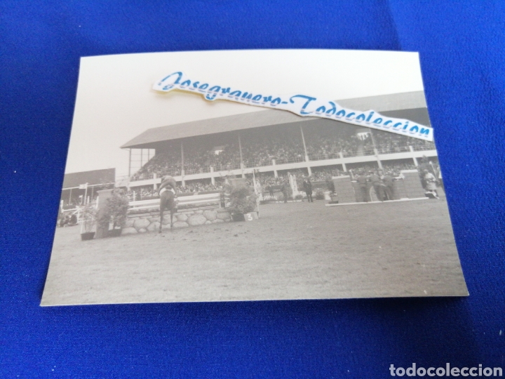 Alte Fotografie: H&Iacute;PICA CABALLOS FOTOGRAFIA ANTIGUA