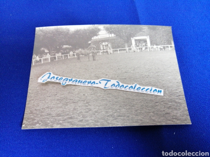 Fotografia antiga: H&Iacute;PICA CABALLOS FOTOGRAFIA ANTIGUA