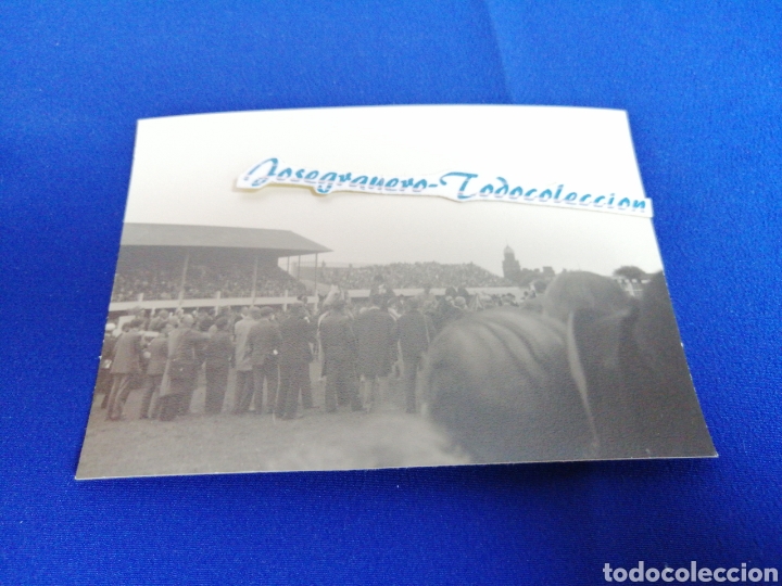 Fotografia antiga: H&Iacute;PICA CABALLOS FOTOGRAFIA ANTIGUA