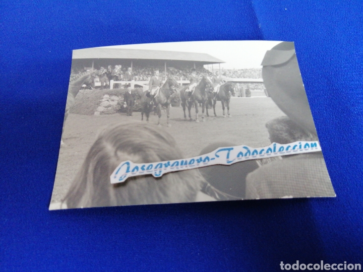 Alte Fotografie: H&Iacute;PICA CABALLOS FOTOGRAFIA ANTIGUA