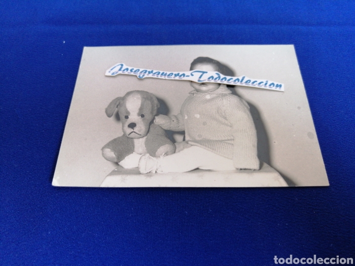 Fotografia antica: NI&Ntilde;O MODELO CON PELUCHE FOTOGRAF&Iacute;A CON SELLO FOT&Oacute;GRAFO