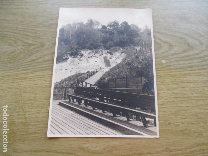 Fotografia antica: FOTOGRAF&Iacute;A DE: PAISAJE EN CAMINO DE MONTA&Ntilde;A-S/F., NI OTROS DATOS-23X18 CM.