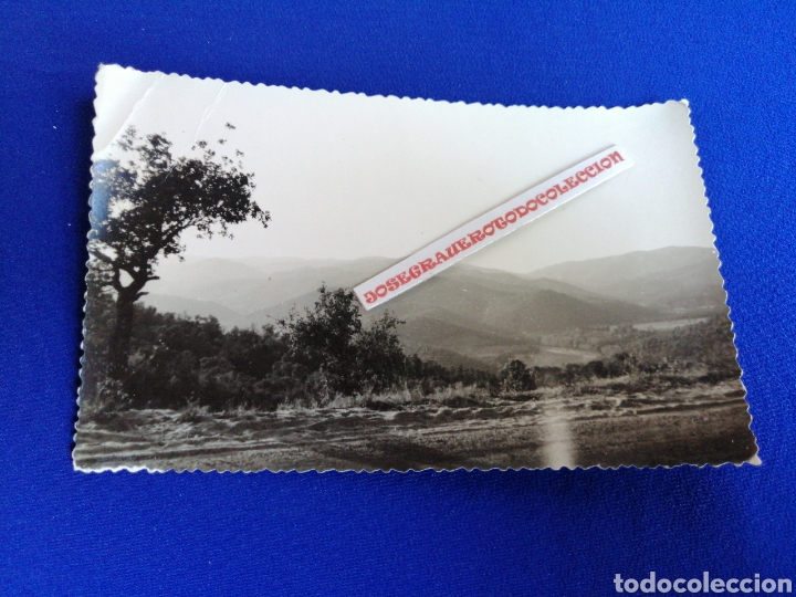 Fotografia antica: TOSA DE MAR COSTA BRAVA A&Ntilde;O 1962 FOTOGRAF&Iacute;A ANTIGUA