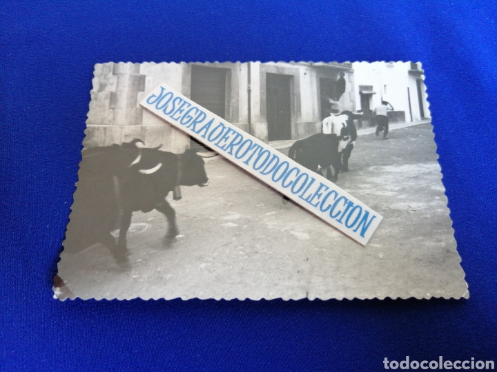 Photographie ancienne: BENSAL CASTELLON FOTOGRAF&Iacute;A ANTIGUA A&Ntilde;O 1966 FIESTAS PATRONALES TOROS