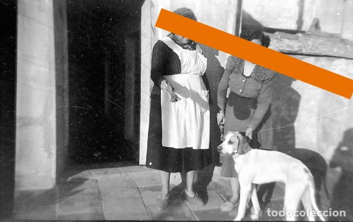 Antique Photography: Antiguo negativo o clich&eacute; de fotograf&iacute;a. Se&ntilde;ora con el perro. A&ntilde;os 40/50.