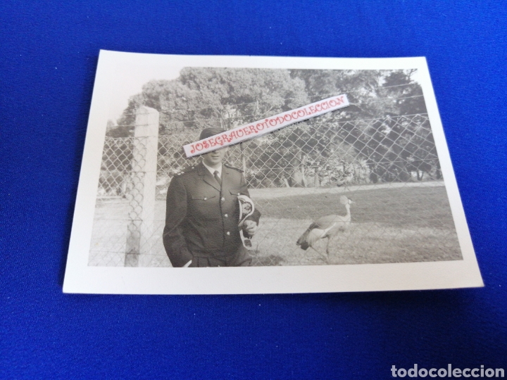Fotografia antica: MILITAR FOTOGRAF&Iacute;A ANTIGUA