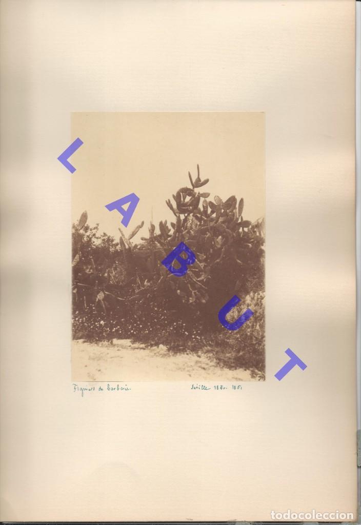 Fotografia antica: CHUMBERAS DE SEVILLA 1851 FACSIMIL MONTADA DE ALBUMINA 1977 43X30 C16