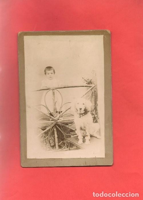 Fotografia antica: FOTOGRAFIA NI&Ntilde;A Y PERRO . .&uacute;ltima . .