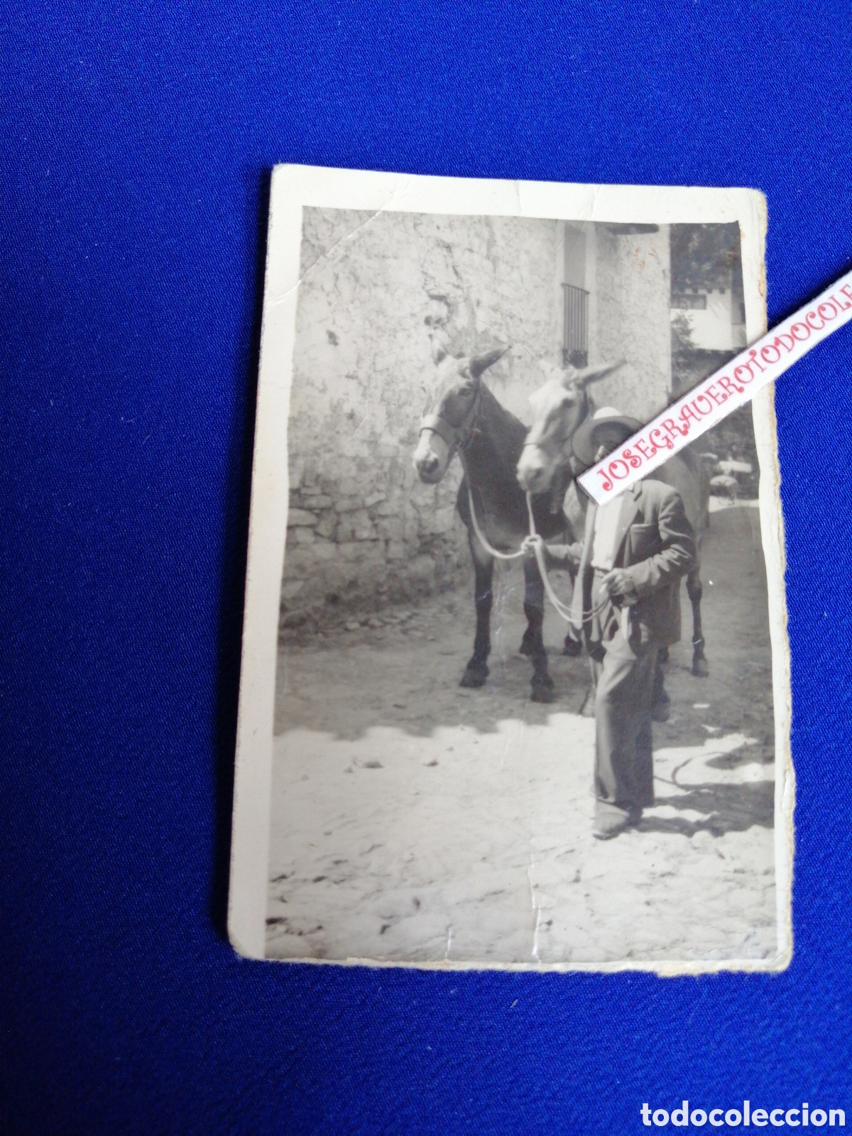 Fotografia antica: GANDERO MODELO CON BURROS POSANDO FOTOGRAF&Iacute;A ANTIGUA