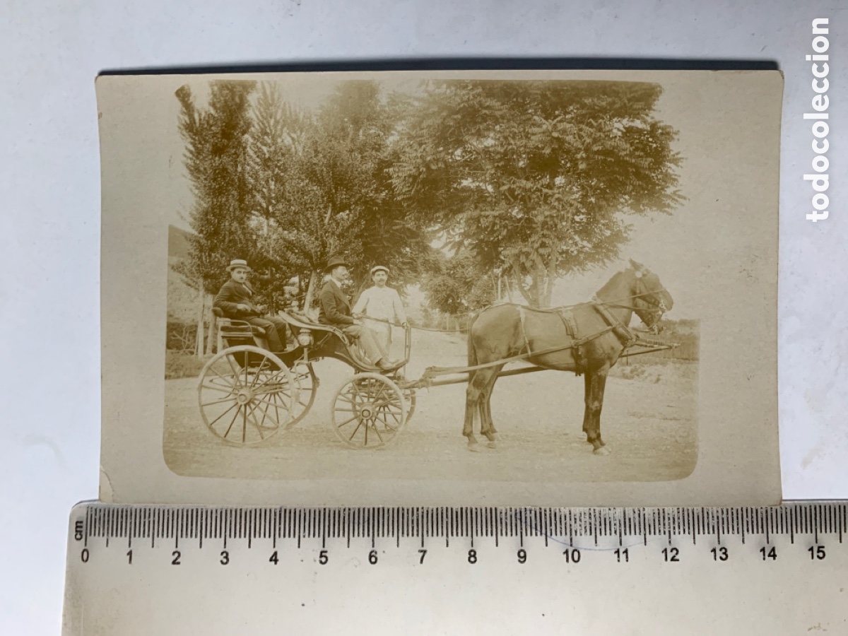 Fotograf&iacute;a antigua: FOTO ALBUMINA. PASEO EN EL COCHE DE CABALLO. FOT&Oacute;GRAFIAS N. RUIZ-LOJA.