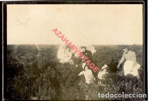 Alte Fotografie: SEVILLA, SIGLO XIX, ALTA SOCIEDAD EN EL CAMPO, 90X60MM
