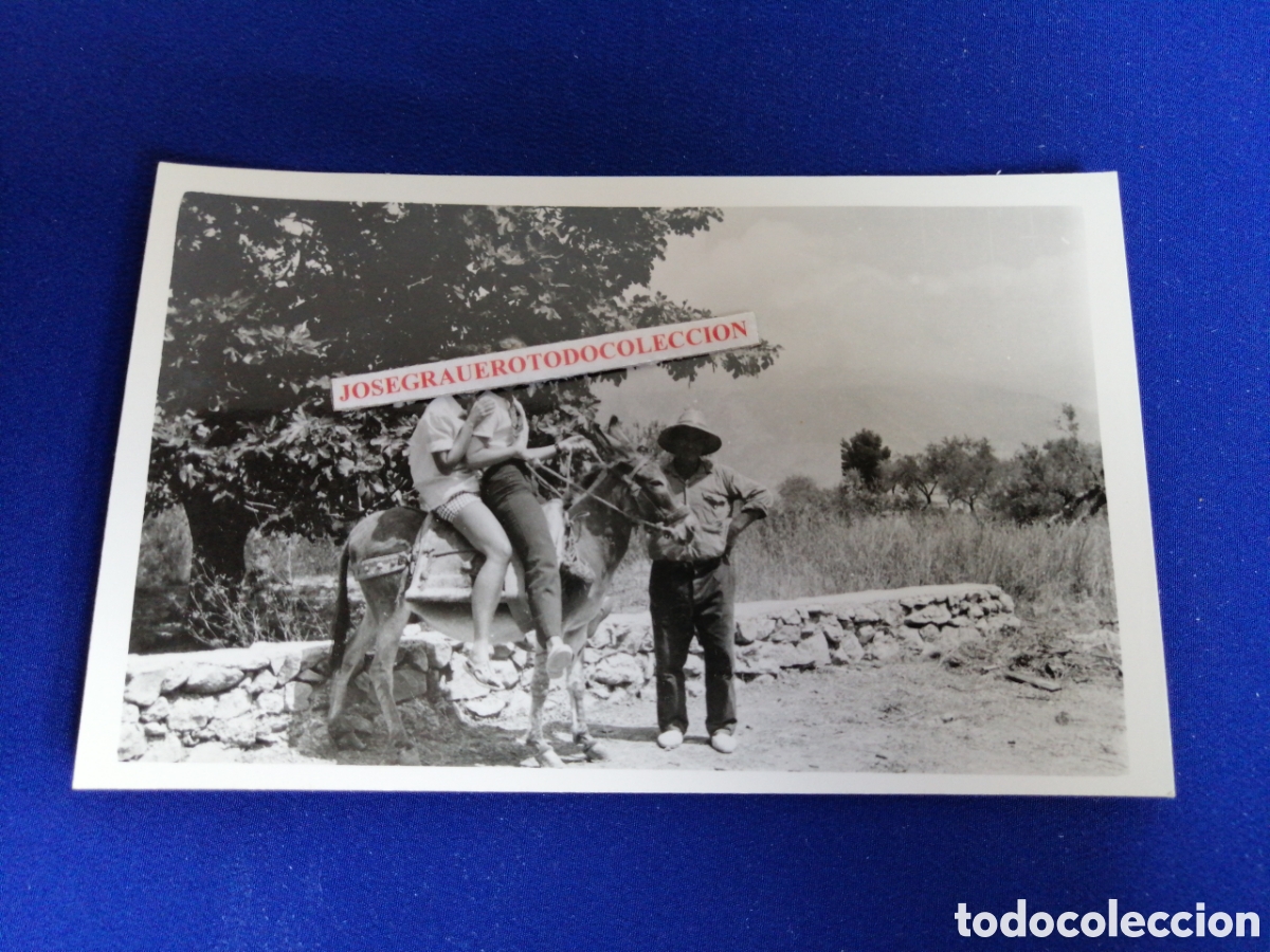 Fotografia antica: MODELOS EN BURRO FOTOGRAF&Iacute;A ANTIGUA
