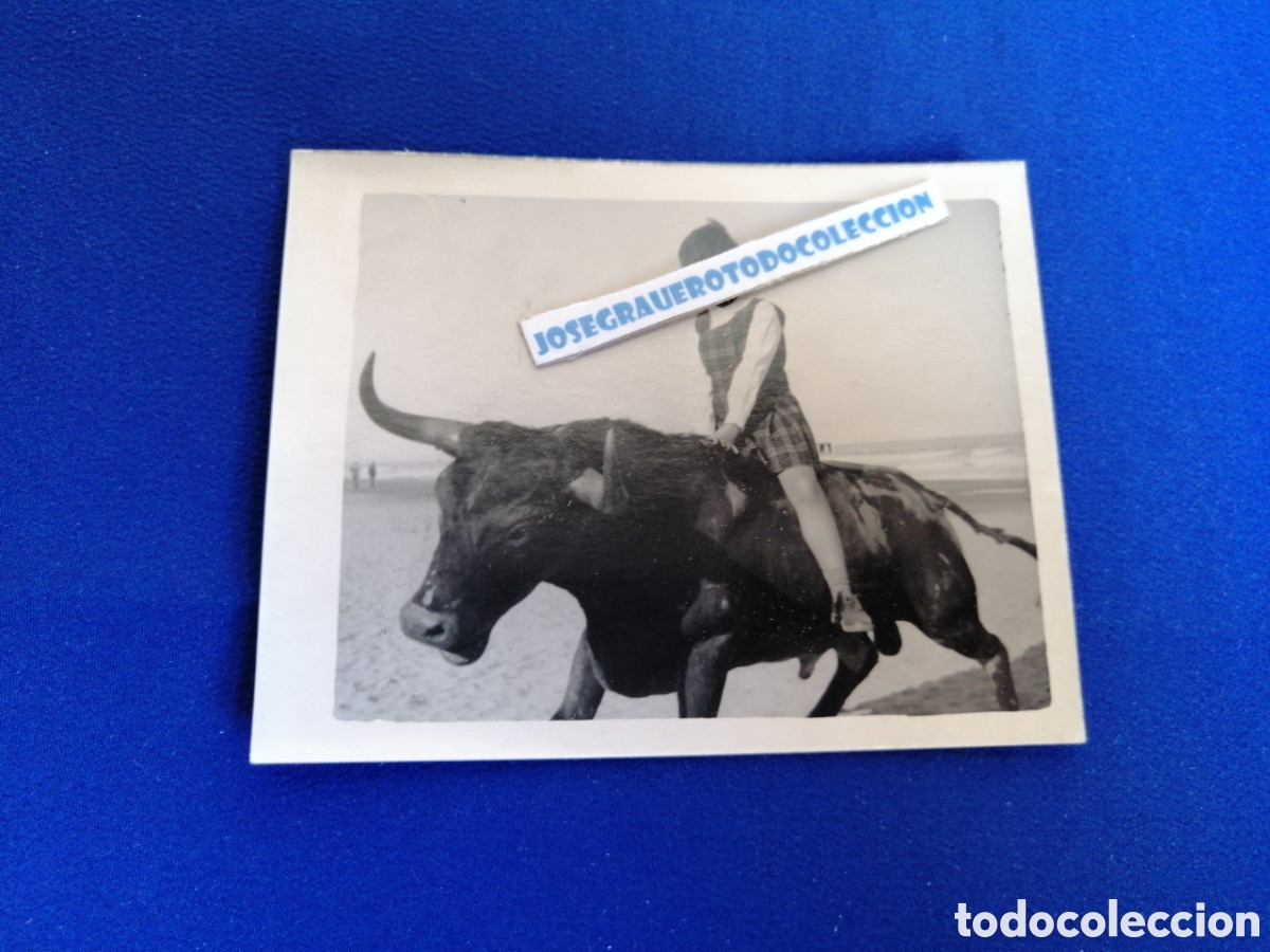 Antique Photography: NI&Ntilde;A MODELO CON TORO DE JUGUETE A&Ntilde;O 1965 FOTOGRAF&Iacute;A ANTIGUA