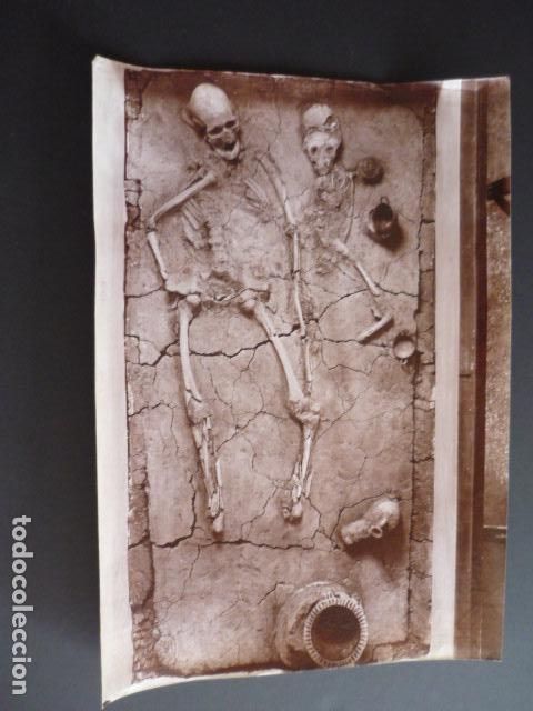 Fotografia antiga: ESQUELETOS TUMBAS EXCAVACION ARQUEOLOGIA ALBUMINA SIGLO XIX 19 X 26 CMTS