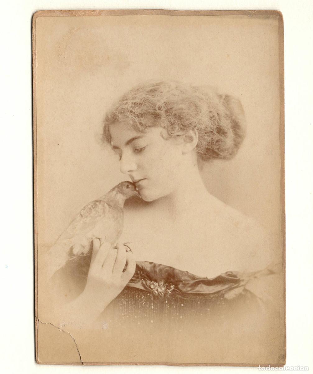 Antique Photography: MISS HILL - ARTISTA ESPECIALISTA EN P&Aacute;JAROS. FOTO 10,5X15CM.