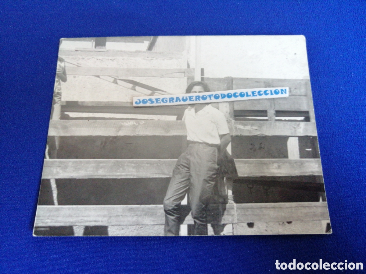 Antique Photography: TOROS MODELO EN VALLADO FOTOGRAF&Iacute;A ANTIGUA