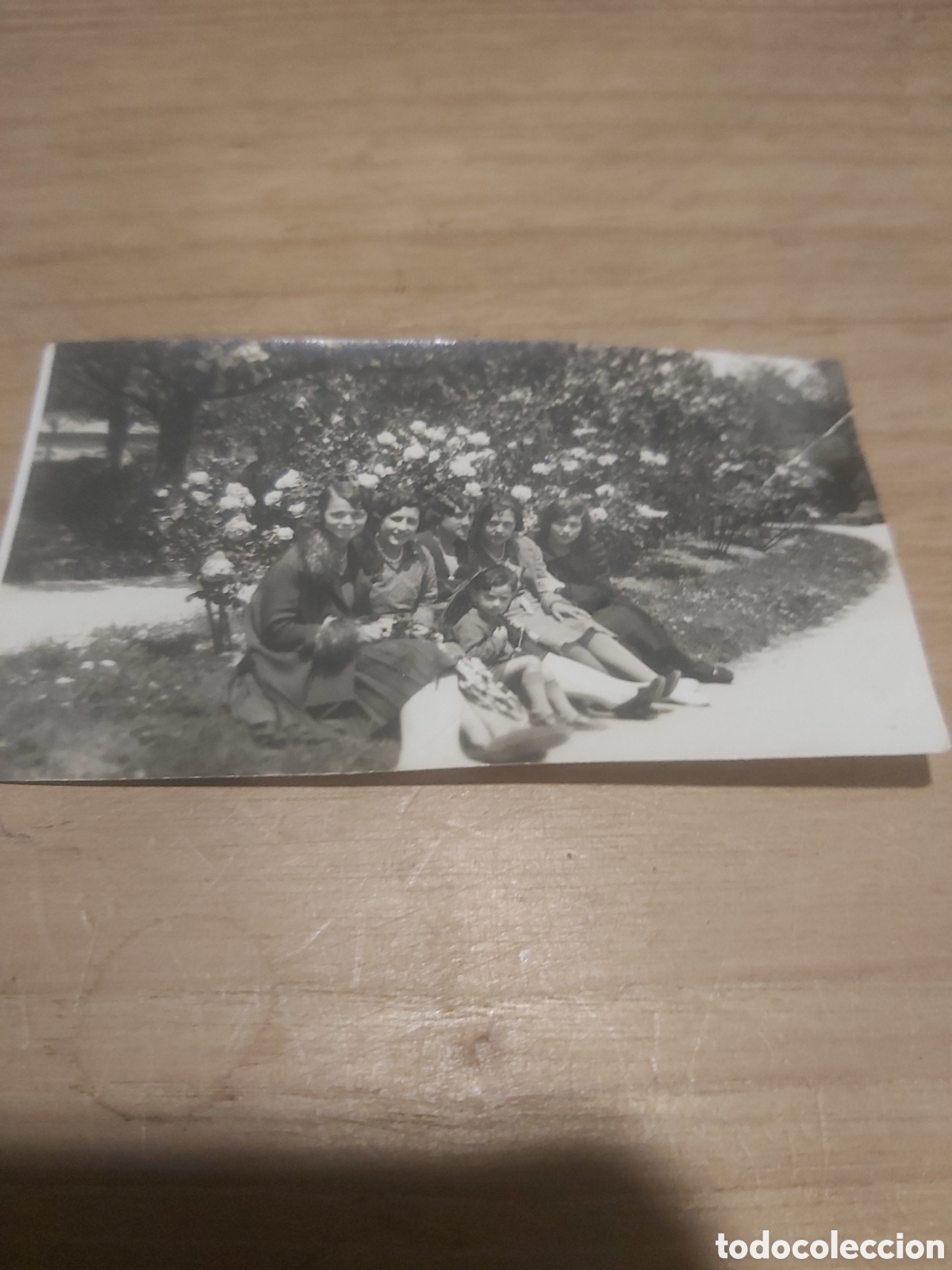 Fotografia antica: Foto parque Lugo