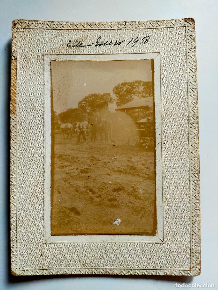 Antique Photography: ANTIGUA FOTOGRAF&Iacute;A: CARRUAJE O CARRO DE CABALLOS ACCIDENTADO - FECHADO 2 de Enero de 1908